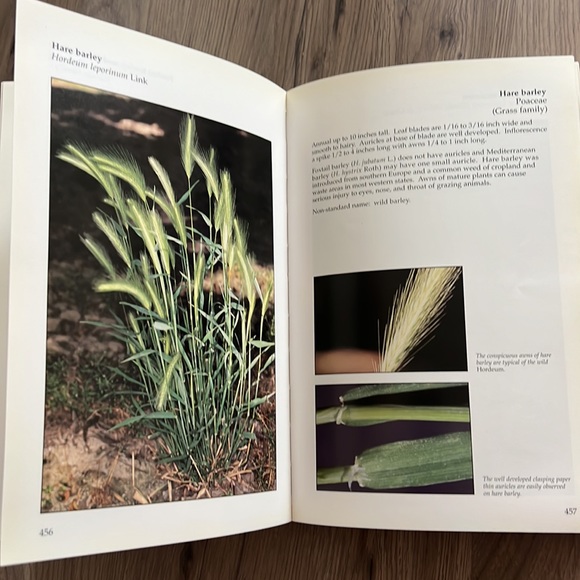 Book: Weeds of the West - Picture 5 of 7